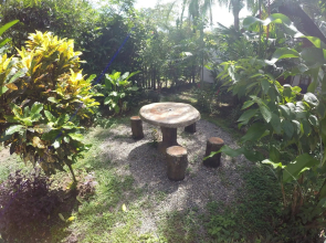 The Lotus Garden