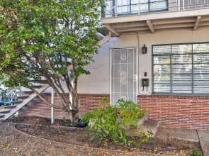 Pet Friendly Condos