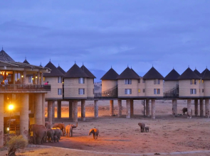 Salt Lick Safari Lodge