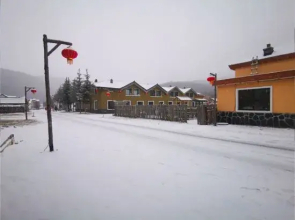 Lao Dongbei Inn (Xuexiang National Forest Park Store)