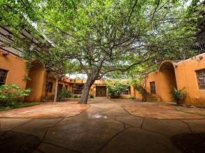 Trois Estate at Enchanted Rock