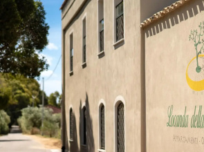 Locanda Della Meridiana - Olivo
