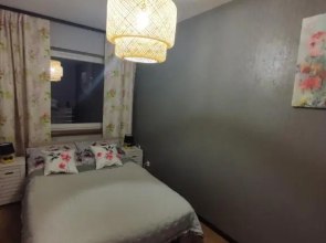 LUX Apartament ODKRYJ - BIESZCZADY