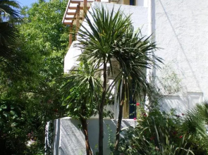 Irini Studios