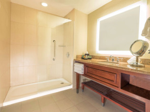 Hilton Phoenix Airport