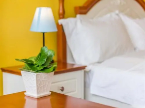 Summer Blossom Inn (Sanyabay Branch)