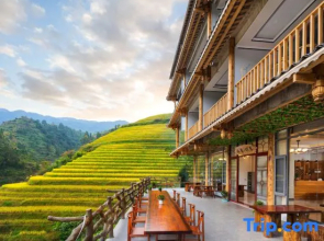 Fei Fan Seasons Guest House
