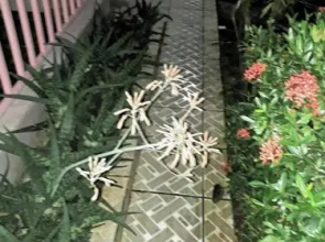 Sunset Inn Valle del Volcan