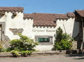 Landgasthaus Grüner Baum