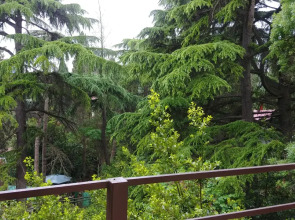 Гостевой дом на Дмитриева