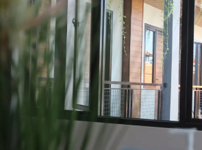 Amarilis near Sam Poo Kong