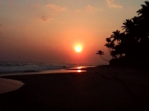 Surf Bay Resort Weligama