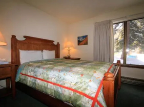 Discovery 4 #111 Pet Ok