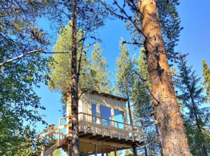 Aurora Lodge