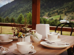Hotel Ushba Hill