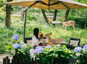 Zhi Resort Beijing