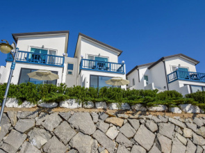 Bluegrad Pension
