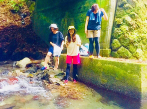 Vanguard Backpackers