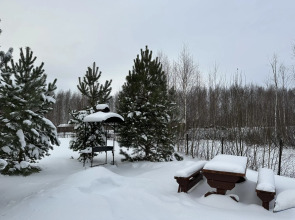 Некрасовская дача