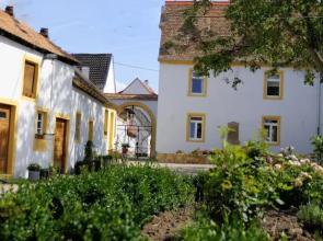 Der Von-Dalberg-Hof