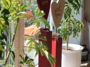 Ferienwohnung Anita Müller