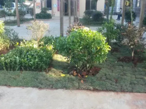 Qingding Weizhou Hotel