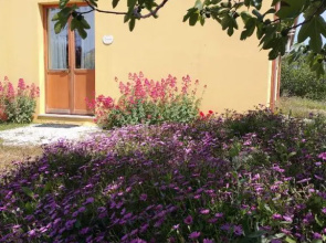 Agriturismo I Ciliegi Appartamento Ginestra
