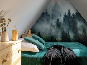 Apartamenty Kierpcówka 5