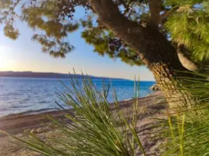 Family friendly apartment, great for children, huge yard and lots of toys