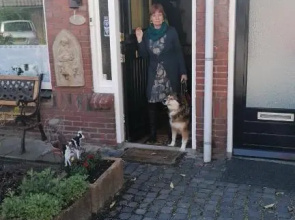 B&B Bij de koeien