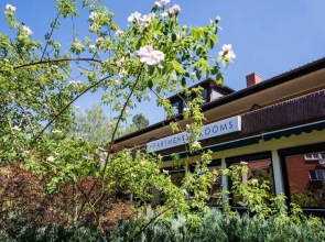 Forest Apartments & Rooms