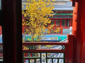 Cangzhou Qingfeng United Hospital Hostel