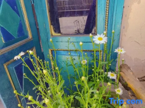 Yining Qingshe Homestay