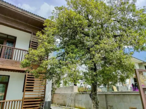 Qixin Valley Homestay