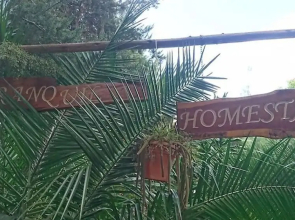 Tranquil Homestay