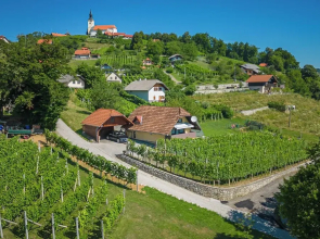 Vineyard Cottage Hocevar With Sauna
