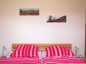 Attractive Apartment in Haidmuhle