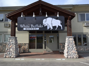 White Buffalo