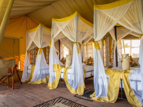 Kisura Serengeti Tented Camp