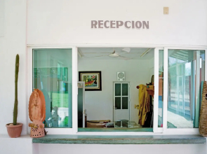 Hotel Palapas Tortuga
