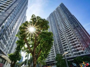 Luna's Splendid Home