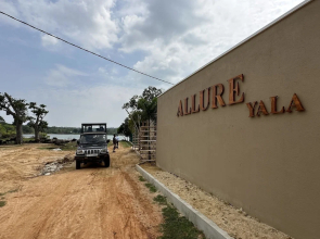Allure Yala