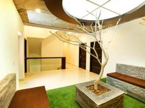 Mazus Inn