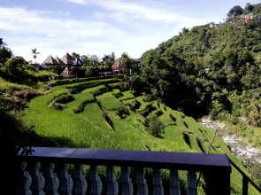 Bogah Home Stay