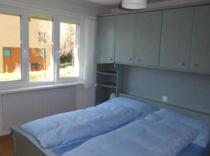 Ferienwohnung Elite Fiesch