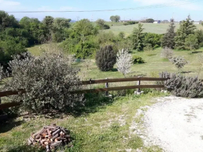 Grazioso appartamento in villa