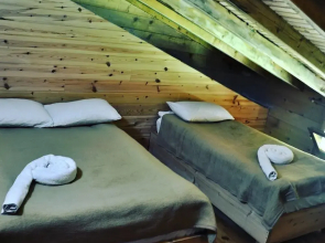 Tanevit Dag Evi