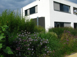 B&B De Beverhoek
