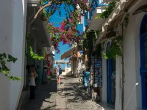 Petini's Place