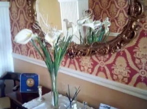 Rosemount B&B